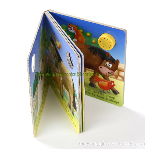 Intellectual & Educational Toys -18